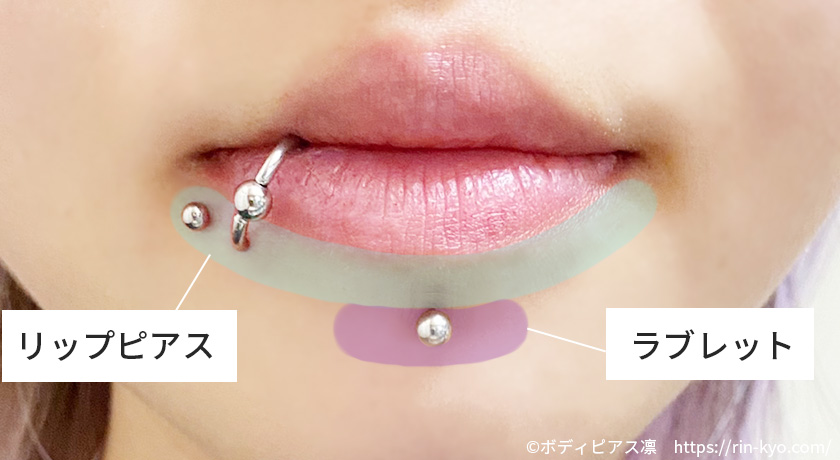 リップとラブレットの違い