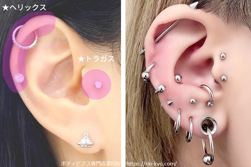 基本的な軟骨ピアスの場所と人気部位画像