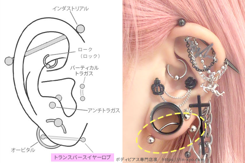 トランスバースイヤーロブの開け方例