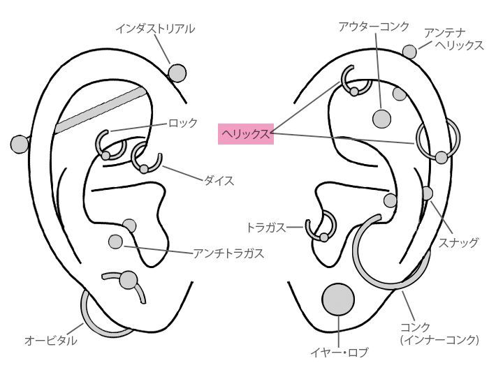 新鮮なかっこいい メンズ ピアス 位置 全イラスト集