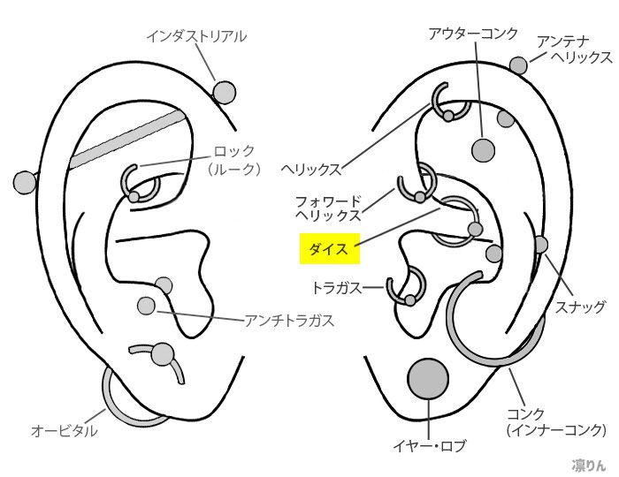 山積みの やさしい 器官 ピアス 軟骨 痛い Hj Mbc Jp