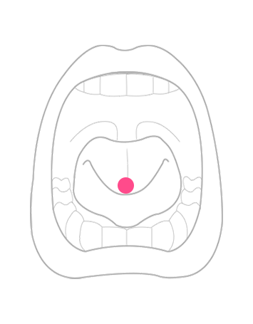 部位から探す：舌ピアス・タンリム