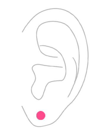 部位から探す：耳・イヤーロブ(耳たぶ)のボディピアス
