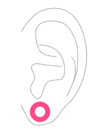 部位から探す：耳のボディピアス・ラージゲージ・拡張ピアス