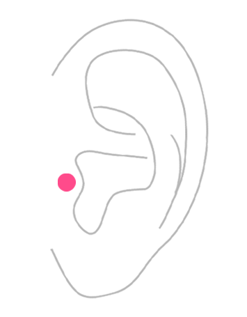 部位から探す：耳のボディピアス・トラガス