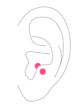 部位から探す：耳の軟骨ピアス・アンチトラガス