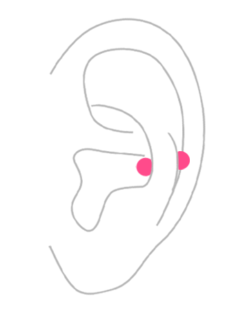部位から探す：耳の軟骨ピアス・スナッグピアス