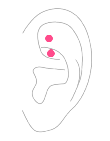 部位から探す：耳のボディピアス・ロック・ルークピアス
