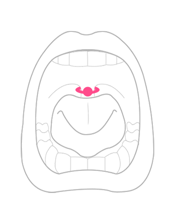 部位から探す：口内・口蓋垂のボディピアス・ユブラ